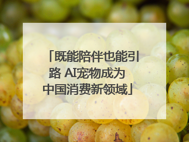 既能陪伴也能引路 AI宠物成为中国消费新领域